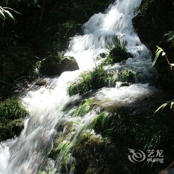 黄山天然泉山庄酒店提供图片