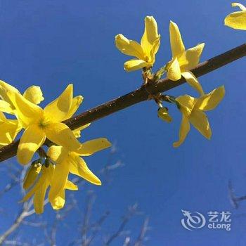 北京梨树沟李家大院酒店提供图片