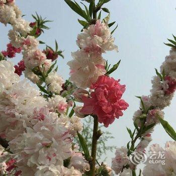 北京梨树沟李家大院酒店提供图片