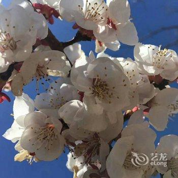 北京梨树沟李家大院酒店提供图片