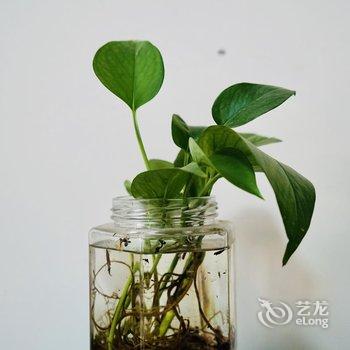 北京云七青年民宿酒店提供图片