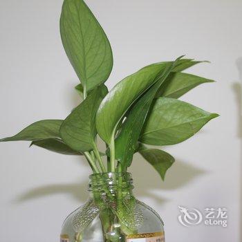 北京燕窝短租公寓(阳光南大街北口分店)酒店提供图片