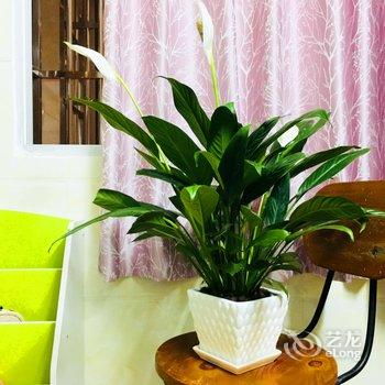 广州玲玲姐公寓(海幢寺分店)酒店提供图片