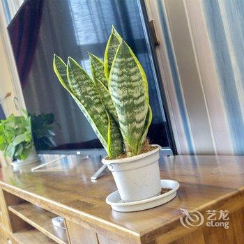 成都大山的特色小屋公寓(新华宾馆-会议中心分店)酒店提供图片