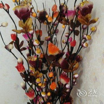 西安瑞督公寓(八府庄村分店)酒店提供图片