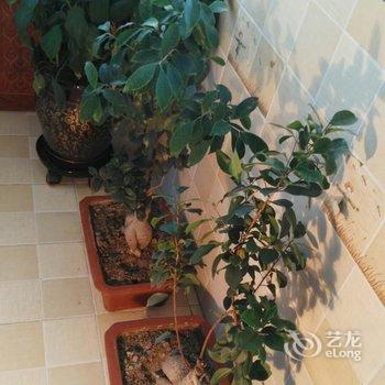 西安瑞督公寓(八府庄村分店)酒店提供图片