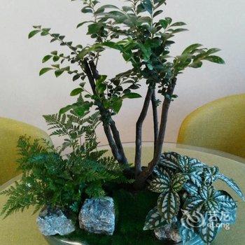 西安瑞督公寓(八府庄村分店)酒店提供图片