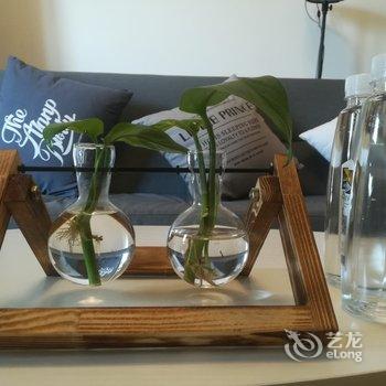 成都Sean大龄少年公寓(儿童乐园分店)酒店提供图片