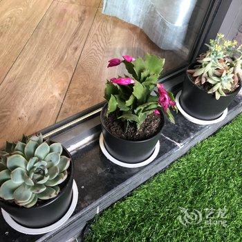 成都Sean大龄少年公寓(儿童乐园分店)酒店提供图片