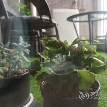 成都Sean大龄少年公寓(儿童乐园分店)酒店提供图片