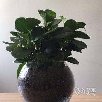 周博公寓(北京中路北一路店)酒店提供图片