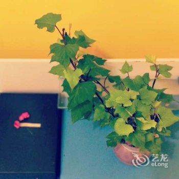 成都泡沫公寓(宽巷子分店)酒店提供图片
