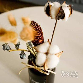 成都Sean大龄少年公寓(儿童乐园分店)酒店提供图片