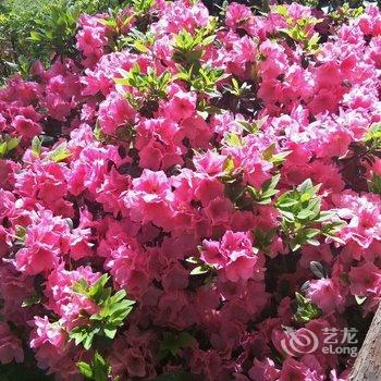 成都青城山红源客栈(青景村分店)酒店提供图片