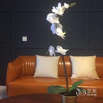 西安vivi家城市生活民宿(大雁塔村分店)酒店提供图片