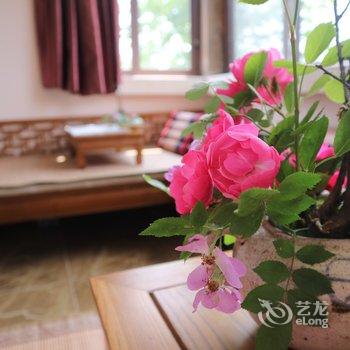 重庆野路子公寓酒店提供图片