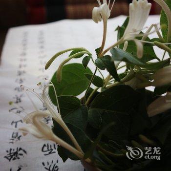 重庆野路子公寓酒店提供图片