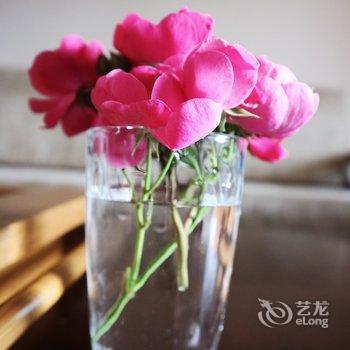 重庆野路子公寓酒店提供图片