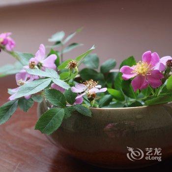 重庆野路子公寓酒店提供图片