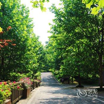 重庆野路子公寓酒店提供图片