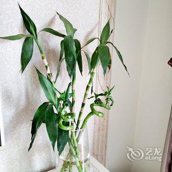 重庆zz妞之家公寓(双龙湖公园分店)酒店提供图片