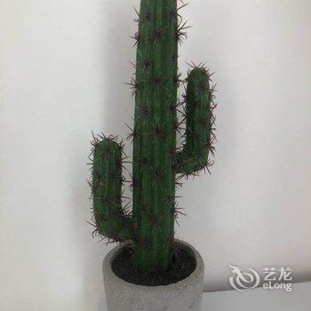 上海新意公寓(胜利村分店)酒店提供图片