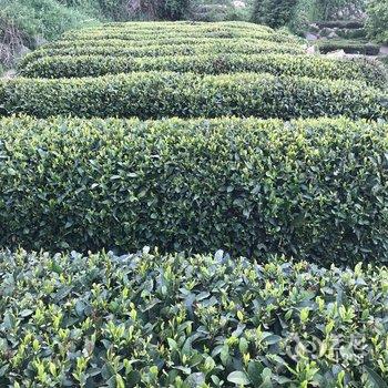 青岛朱浩特色民宿(大仙山分店)酒店提供图片