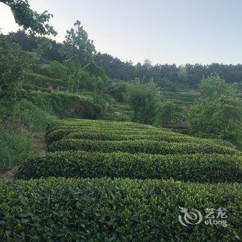 青岛朱浩特色民宿(大仙山分店)酒店提供图片