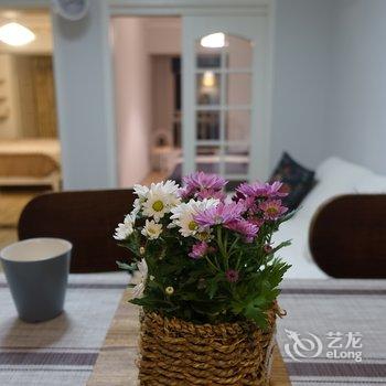 杨宗翰公寓(西安乐翔儿童主题乐园店)酒店提供图片