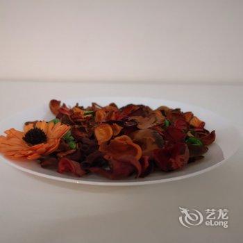 付付正公寓(北京团结湖路南口店)酒店提供图片