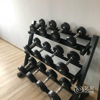 成都张黎公寓(全年红红木艺术馆分店)酒店提供图片