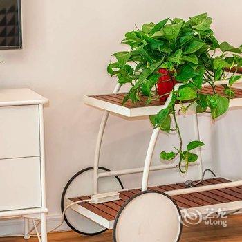 重庆老k的小乌龟公寓(佳园路分店)酒店提供图片