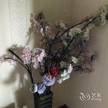 青岛汇泉美景公寓(山海关路21号分店)酒店提供图片