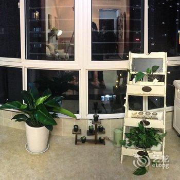 橘猫与大狗一间民宿(西安瓦胡同村店)酒店提供图片