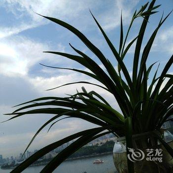 广州北欧加小清新普通公寓酒店提供图片