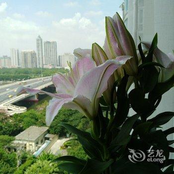 广州北欧加小清新普通公寓酒店提供图片