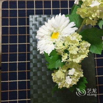 西安欢喜的家公寓(陕西省美术博物馆分店)酒店提供图片