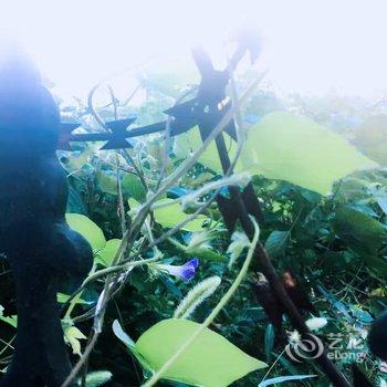 青岛张馨元普通公寓酒店提供图片