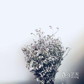 重庆疯一样的女子公寓(沙坪公园-儿童乐园分店)酒店提供图片