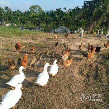 万宁太阳河畔屋有庄园酒店提供图片