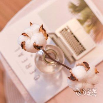 �ɶ������޹�Ԣ�Ƶ��ṩͼƬ