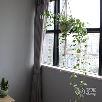 �ɶ����ܹ�Ԣ(ȫ����ľ�����ݷֵ�)�Ƶ��ṩͼƬ