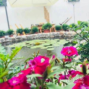 偃师菩提本无树却客居酒店提供图片