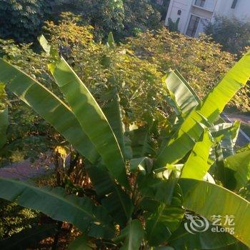 西双版纳雨林溪谷三室一厅特色民宿酒店提供图片