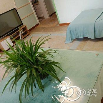 成都紫薇阁主公寓酒店提供图片