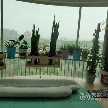 秋千水岸绿植情缘公寓(北京刘家村店)酒店提供图片