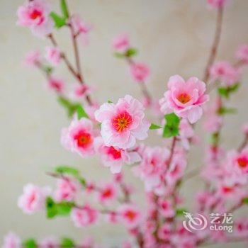 滟滟家公寓NO.4酒店提供图片