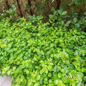 重庆纳吾优民宿酒店提供图片