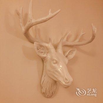 上海大野之乐民宿酒店提供图片