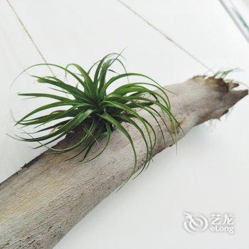 �ɶ��褹�Ԣ(�����Ŷ�һ·�ֵ�)�Ƶ��ṩͼƬ